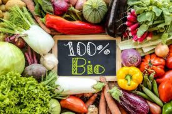 CORSO BIOLOGICO - PRODUZIONI BIOLOGICHE - Formazione dell’operatore del settore BIO nel rispetto del distanziamento 
